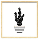 Black Cactus thumbnail