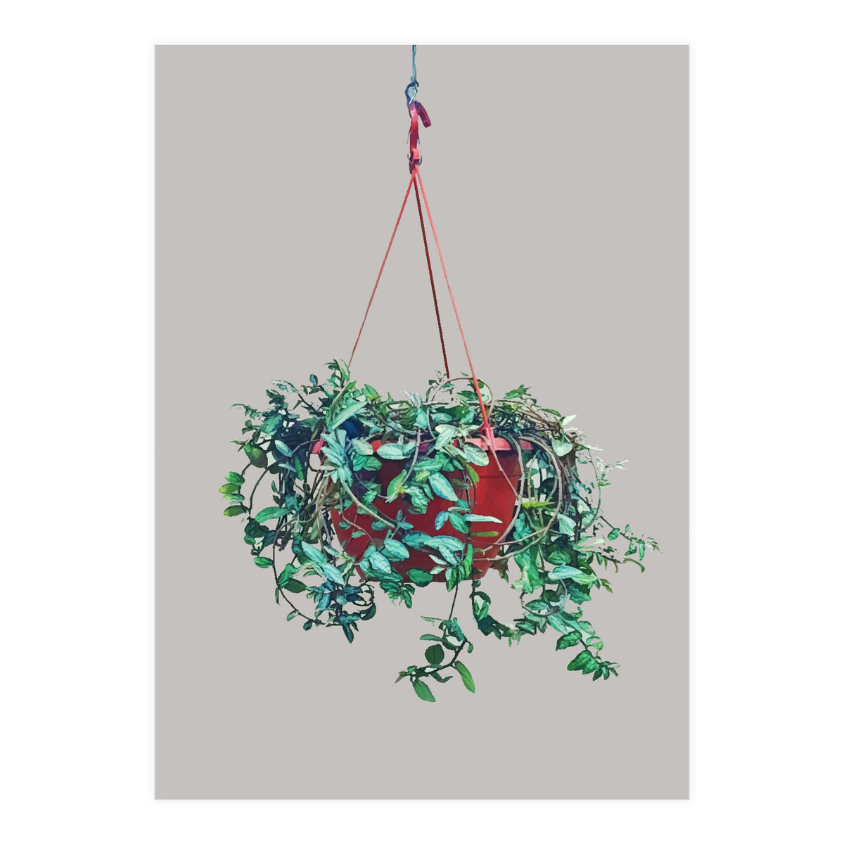 Hanging Plant (Print Only)