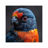 Close Up Portrait Of A Colorful Parrot (Print Only) thumbnail