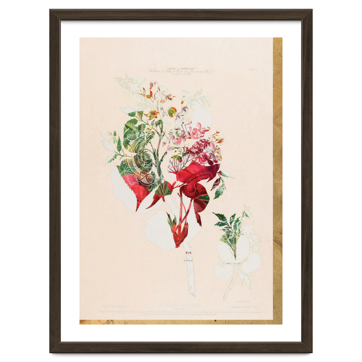 The First Plant · Aufbluehen