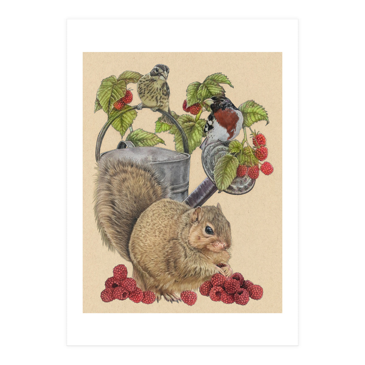 Squirrel Bgmatch (Print Only)