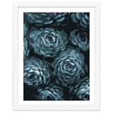 Succulent Plant Blue Ii thumbnail