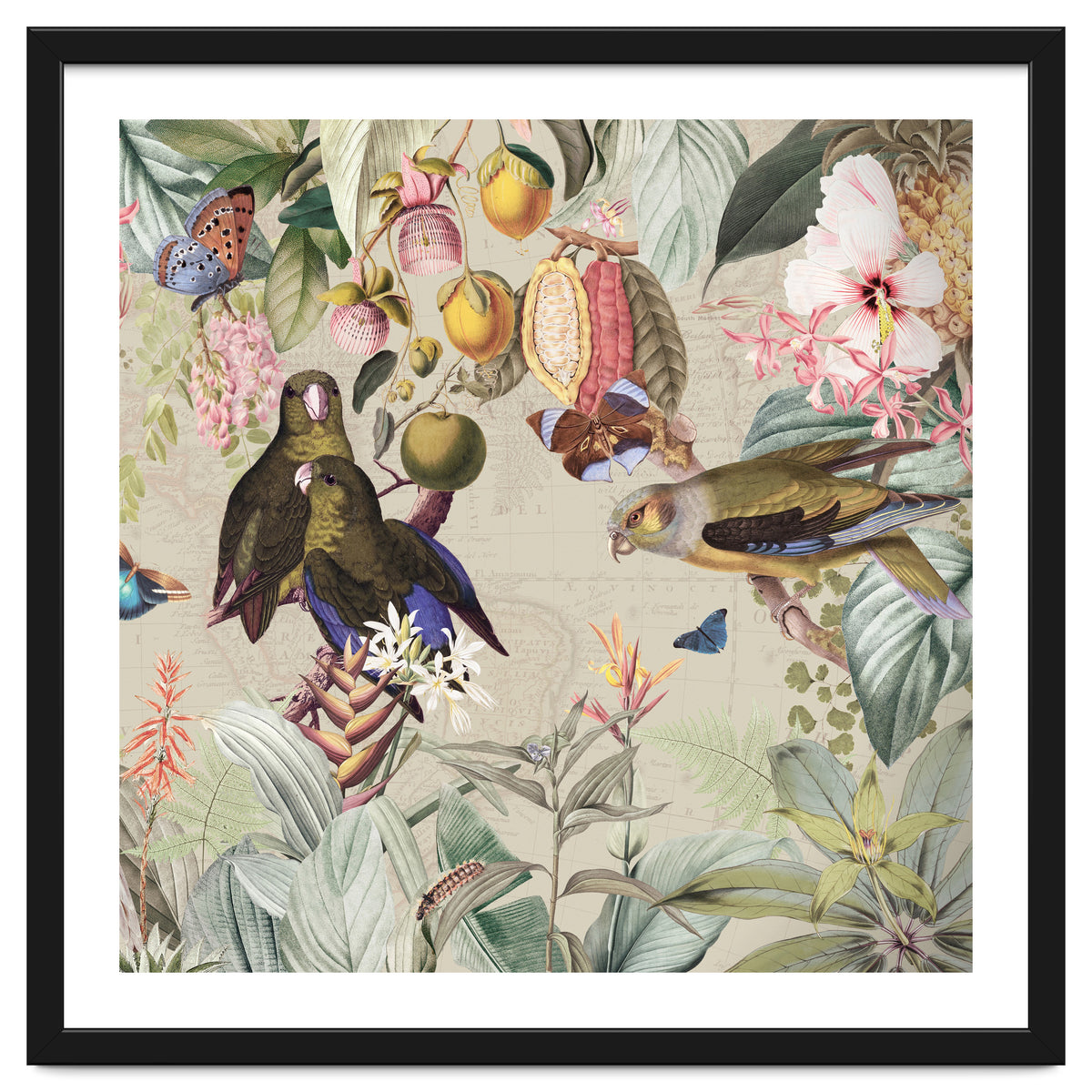 Colorful Parrots And Butterflies In Flower And Fruit Tropical Jungle