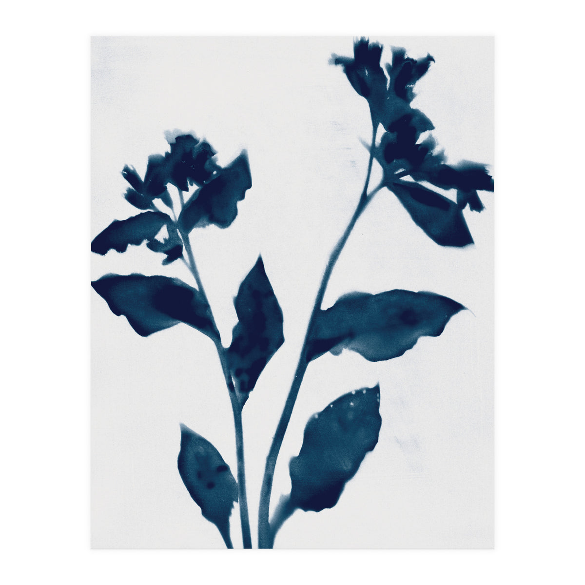 Indigo Blue Flower Silhouette 2 (Print Only)
