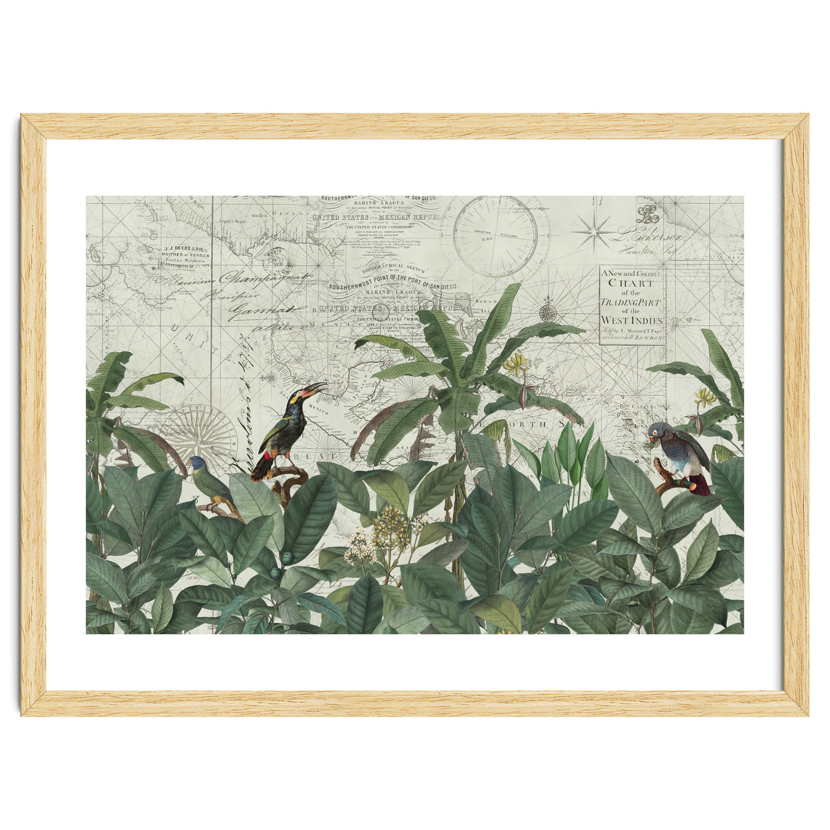 Explore The New World