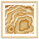 Golden Agate Texture 05 thumbnail