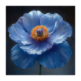 Meconopsis | Sapphire Serenade (Print Only) thumbnail