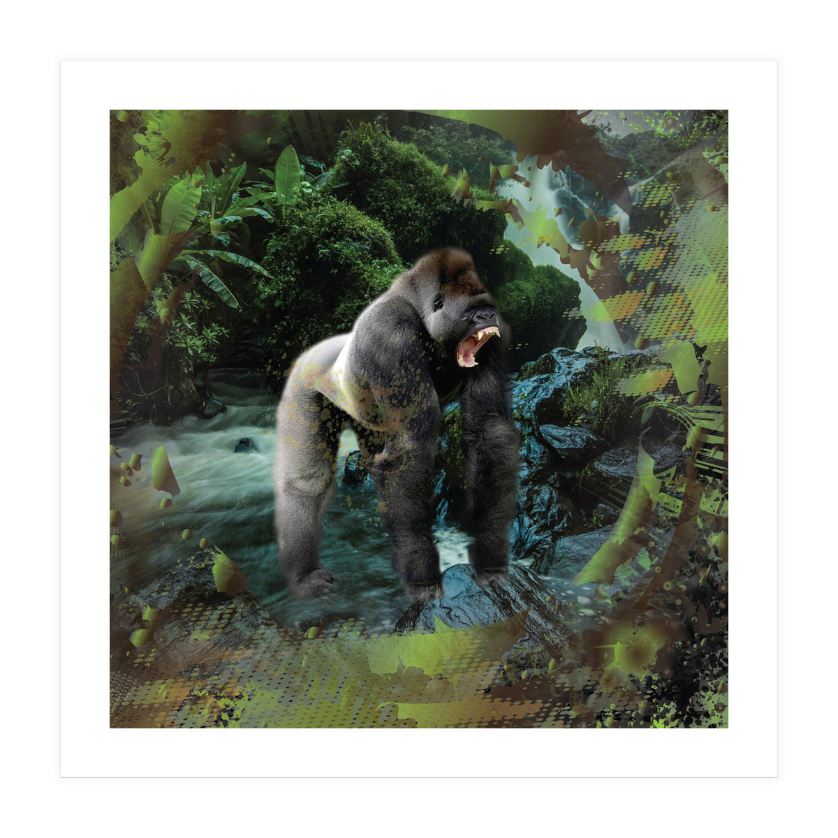 Gorilla  (Print Only)