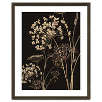 Wildflowers I