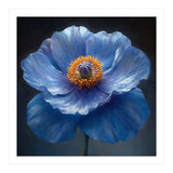 Meconopsis | Sapphire Serenade (Print Only) thumbnail