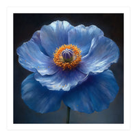 Meconopsis | Sapphire Serenade (Print Only)