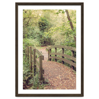 Path To The Bridge
