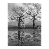 Churches and trees (Print Only) thumbnail