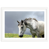 White Horse thumbnail