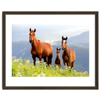 Three Horses