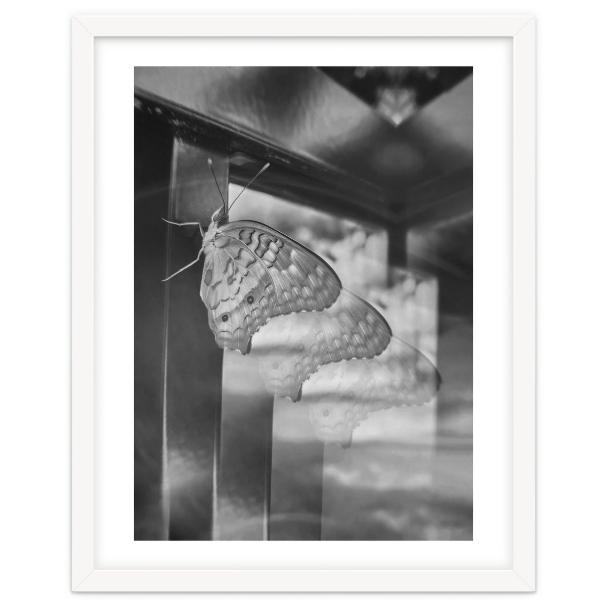 Evolving | Black & White