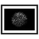Backyard Flowers In Black And White No 68 with Border thumbnail