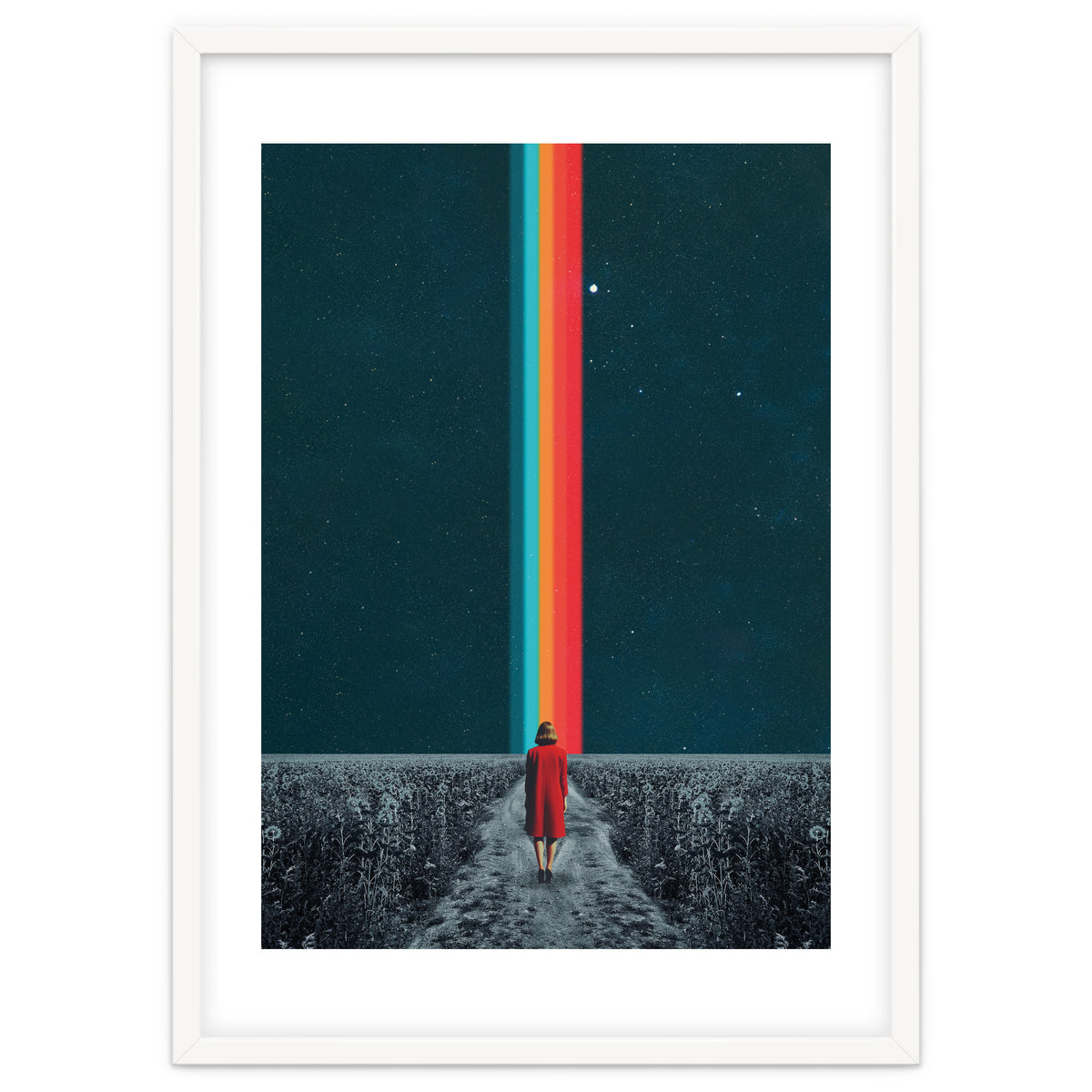 Follow Your Own Path