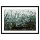 Photography - Summer Garden thumbnail