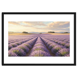 Provençal Sunset: Lavender Field Landscape thumbnail