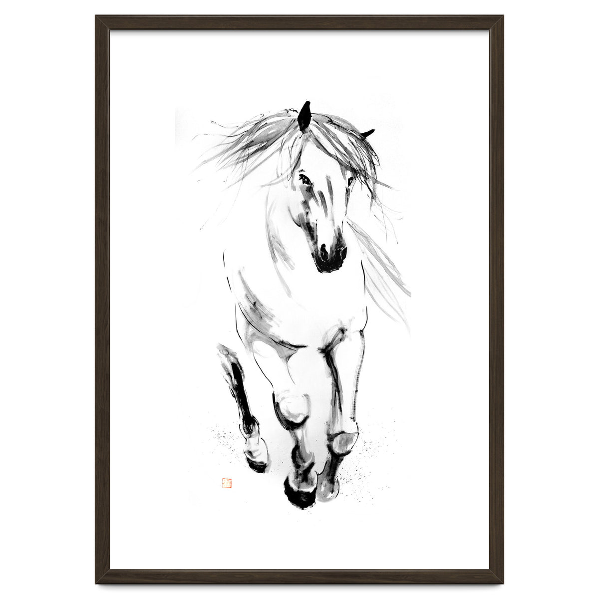 Runninh Ghorse In Water