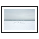 Seagulls in the Snow beach thumbnail
