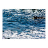 Forward (Print Only) thumbnail