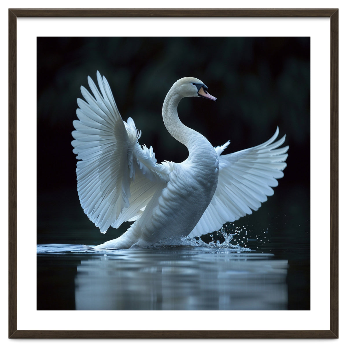 Majestic White Swan Spreading Wings On Water