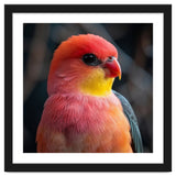 Vibrant Tropical Bird thumbnail
