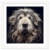 Old Dog 010 thumbnail