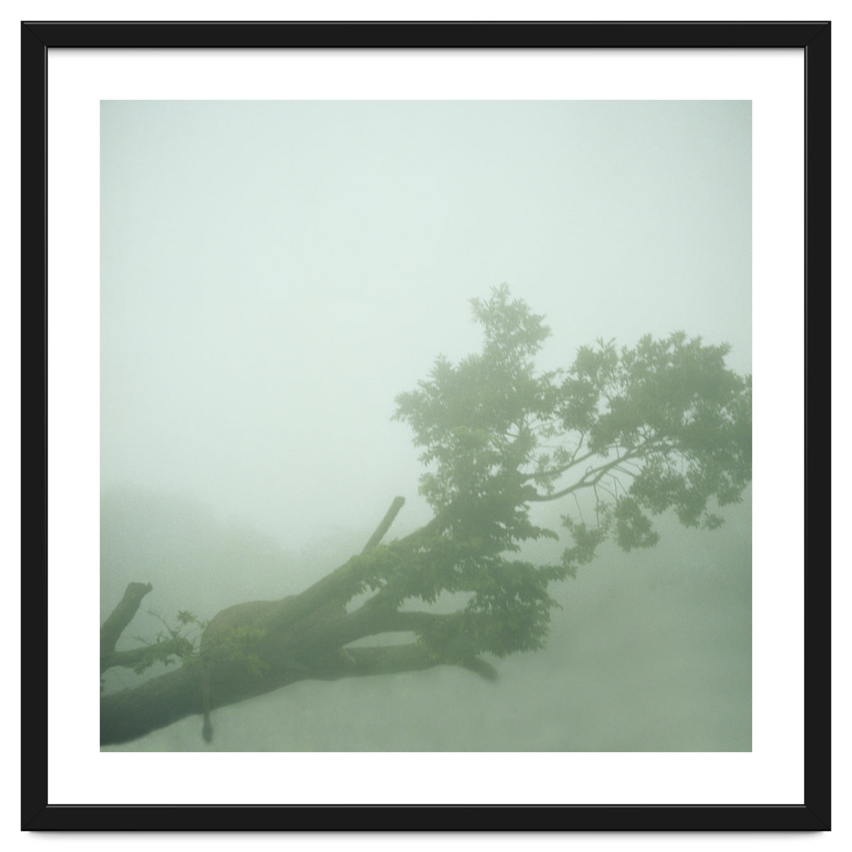 Silence of breath - 07