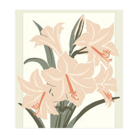 Flower Market Cap Town Amaryllis (Print Only)