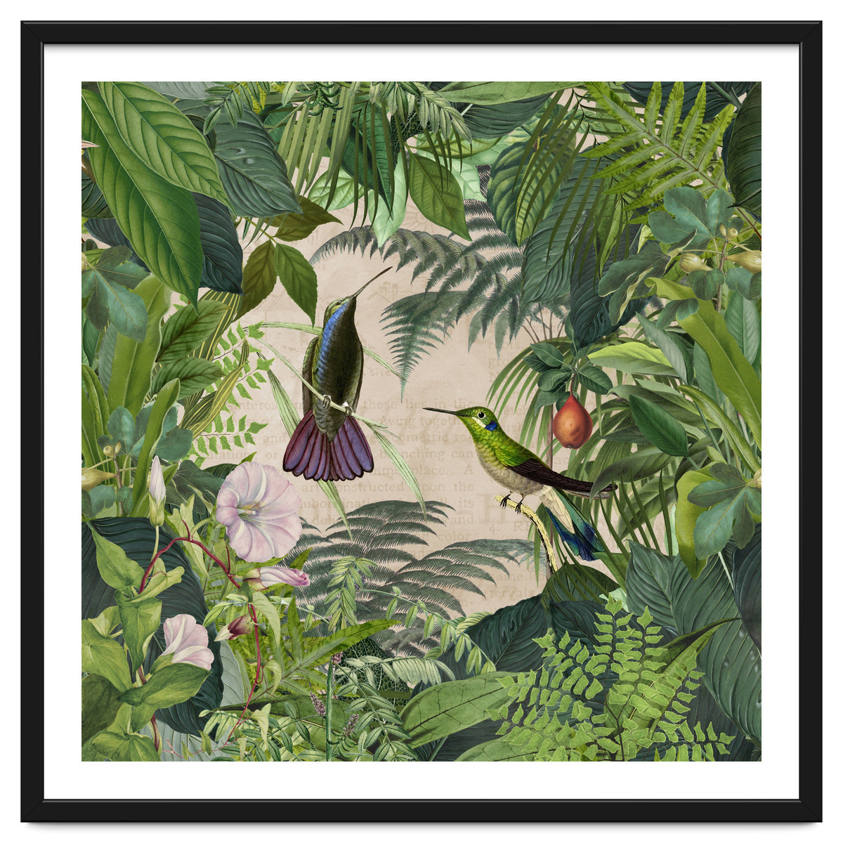 Tropical Hummingbird Jungle