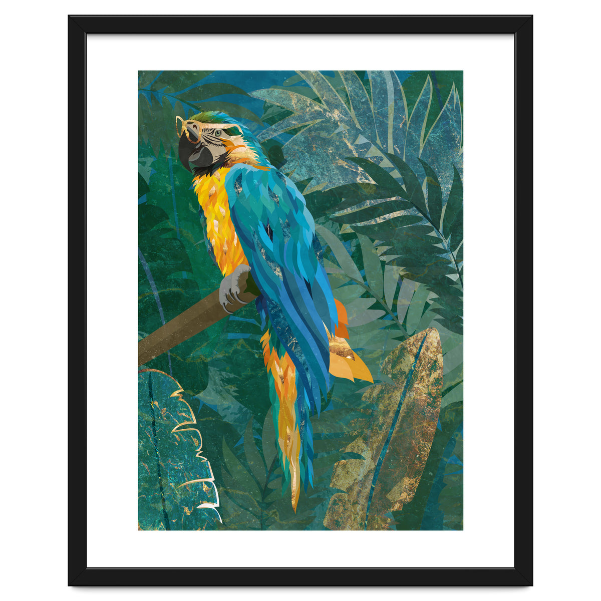 Macaw in the jungle