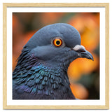 Close Up Of A Pigeon's Head And Neck thumbnail