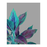 Still Nature (Print Only) thumbnail