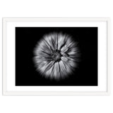 Backyard Flowers In Black And White No 10 Flow Version thumbnail
