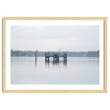 Birds rest in the Lake thumbnail