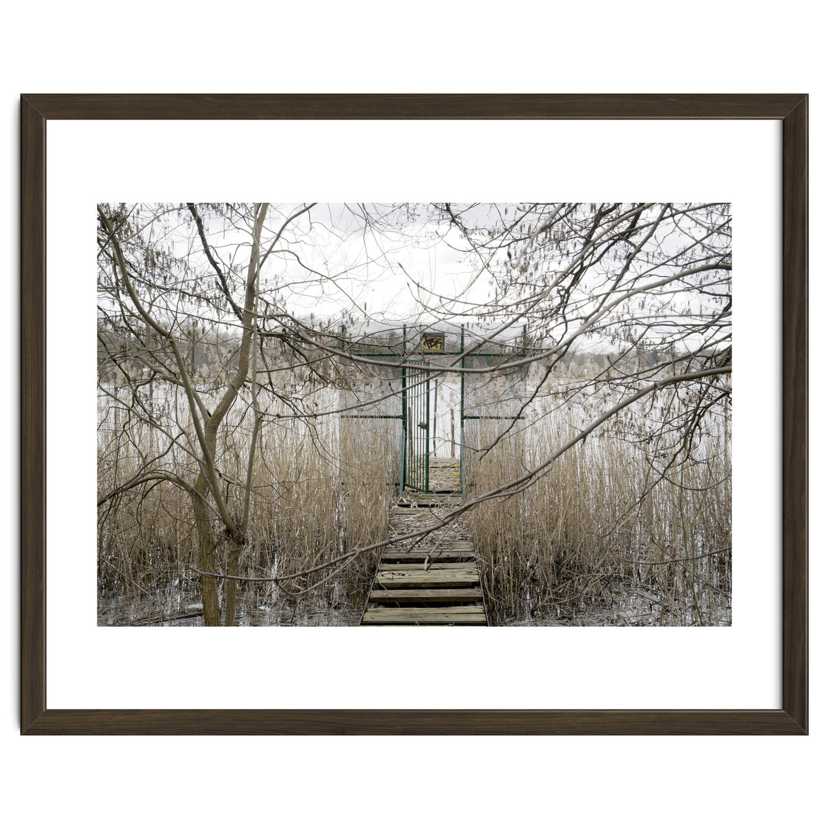 The gate to the lake