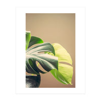 Dark And Light (Print Only)