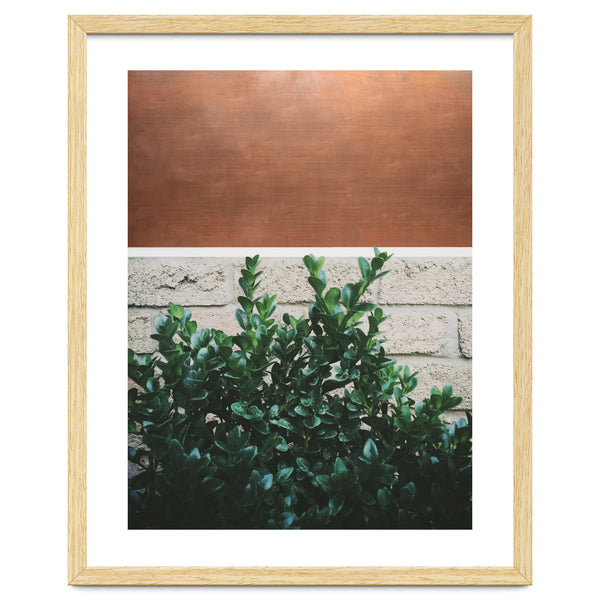 Plant + Copper