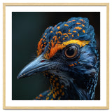 Close Up Of A Colorful Bird Head And Eye thumbnail