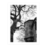 Stark Contrast (Print Only) thumbnail