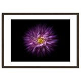 Backyard Flowers No 20 Color Flow Version thumbnail