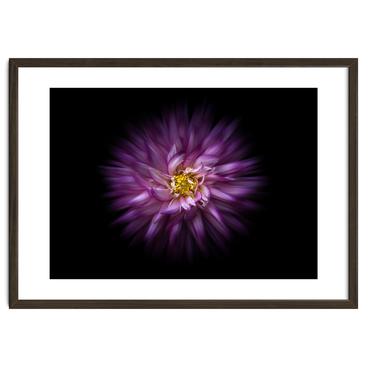 Backyard Flowers No 20 Color Flow Version