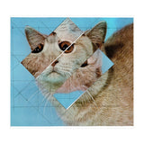 The Depressive Cat Am Abend Bekommt Den Blues (Print Only) thumbnail