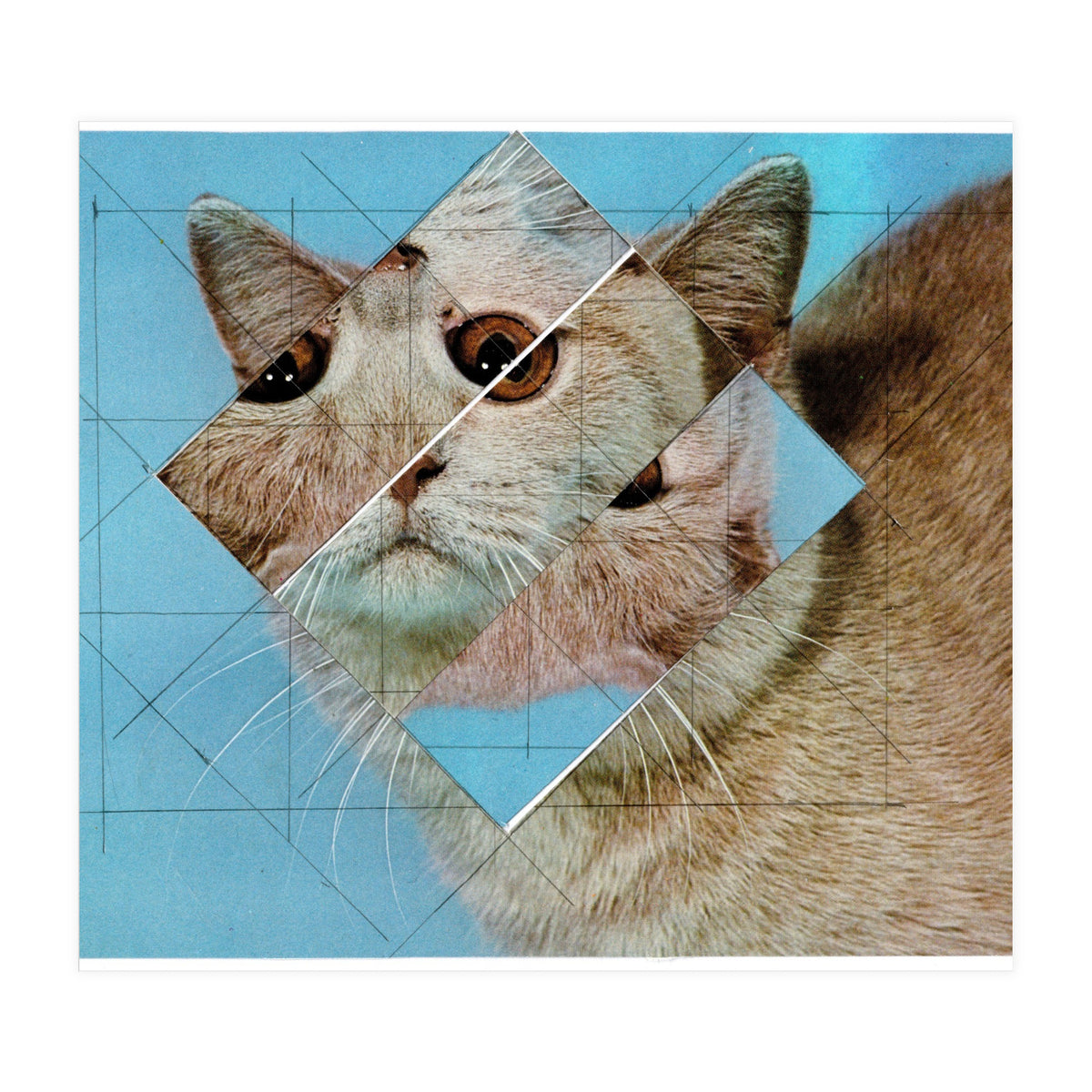 The Depressive Cat Am Abend Bekommt Den Blues (Print Only)