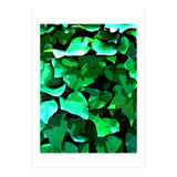 Want To Be Reborn As A Leaf (Print Only) thumbnail