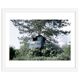 Blue hut on the tree thumbnail