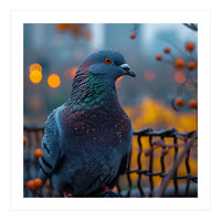 Pigeon With Water Droplets  (Print Only)